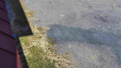 Nástup na běžecké tratě