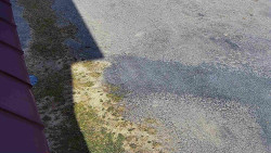 Nástup na běžecké tratě