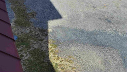 Nástup na běžecké tratě