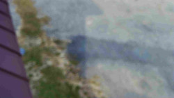 Nástup na běžecké tratě