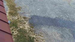 Nástup na běžecké tratě