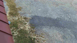 Nástup na běžecké tratě