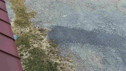 Nástup na běžecké tratě