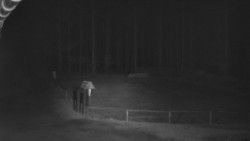 Nástup na běžecké tratě