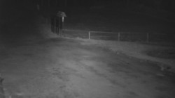 Nástup na běžecké tratě