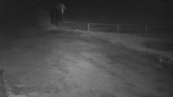 Nástup na běžecké tratě