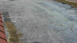 Nástup na běžecké tratě