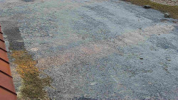 Nástup na běžecké tratě