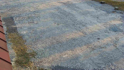 Nástup na běžecké tratě