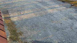 Nástup na běžecké tratě