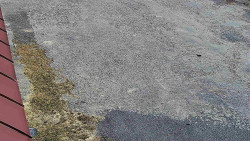 Nástup na běžecké tratě