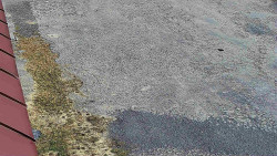 Nástup na běžecké tratě