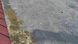 Nástup na běžecké tratě