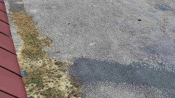 Nástup na běžecké tratě