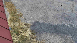 Nástup na běžecké tratě