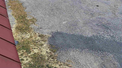 Nástup na běžecké tratě