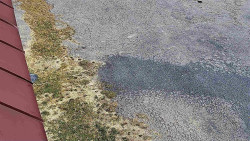 Nástup na běžecké tratě