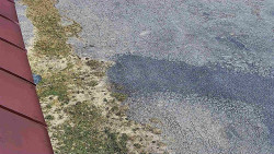 Nástup na běžecké tratě