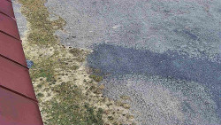 Nástup na běžecké tratě