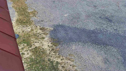 Nástup na běžecké tratě