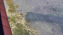 Nástup na běžecké tratě