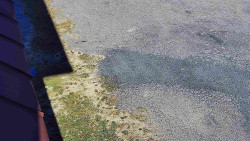 Nástup na běžecké tratě