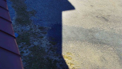 Nástup na běžecké tratě