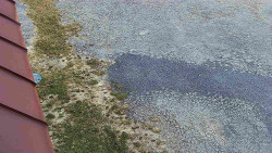 Nástup na běžecké tratě