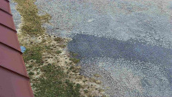 Nástup na běžecké tratě