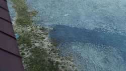 Nástup na běžecké tratě