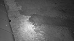 Nástup na běžecké tratě