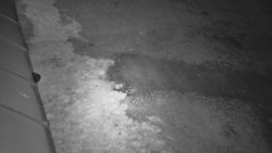 Nástup na běžecké tratě