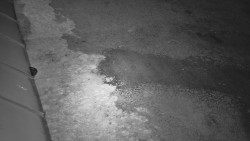 Nástup na běžecké tratě