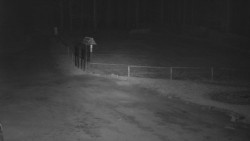 Nástup na běžecké tratě