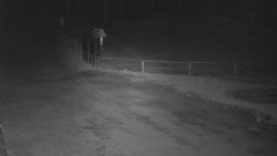 Nástup na běžecké tratě