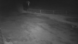 Nástup na běžecké tratě