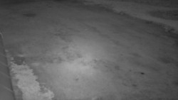 Nástup na běžecké tratě