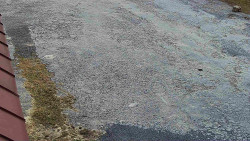 Nástup na běžecké tratě