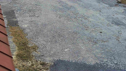 Nástup na běžecké tratě