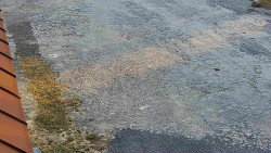 Nástup na běžecké tratě