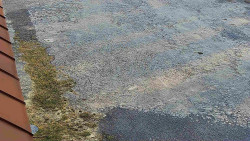 Nástup na běžecké tratě