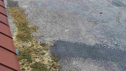 Nástup na běžecké tratě