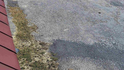 Nástup na běžecké tratě