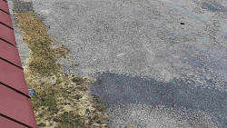 Nástup na běžecké tratě