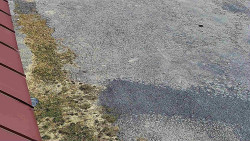 Nástup na běžecké tratě