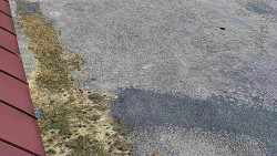 Nástup na běžecké tratě