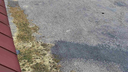 Nástup na běžecké tratě