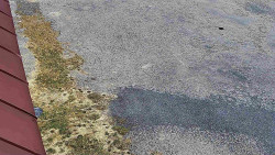 Nástup na běžecké tratě