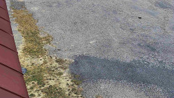 Nástup na běžecké tratě