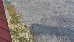 Nástup na běžecké tratě